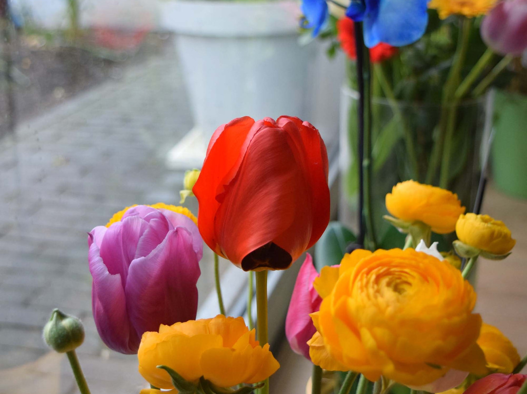 Hatthapon-代尔夫特必去景点