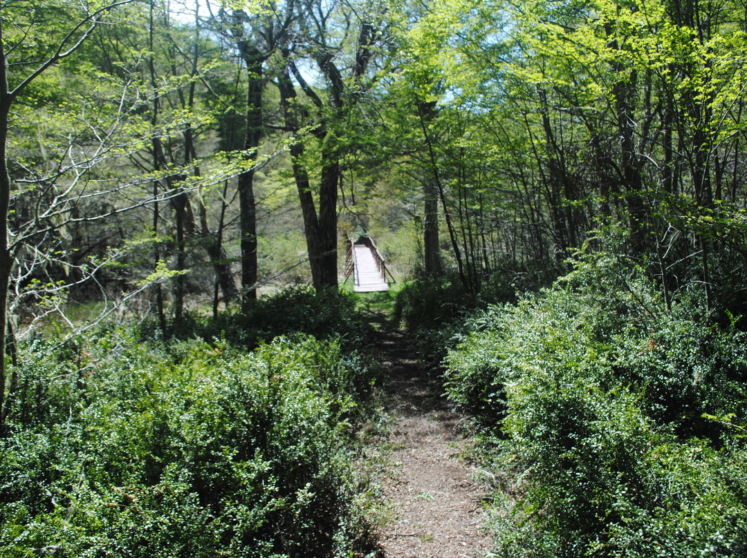 Monumento Natural Dos Lagunas-Coyhaique必去景点