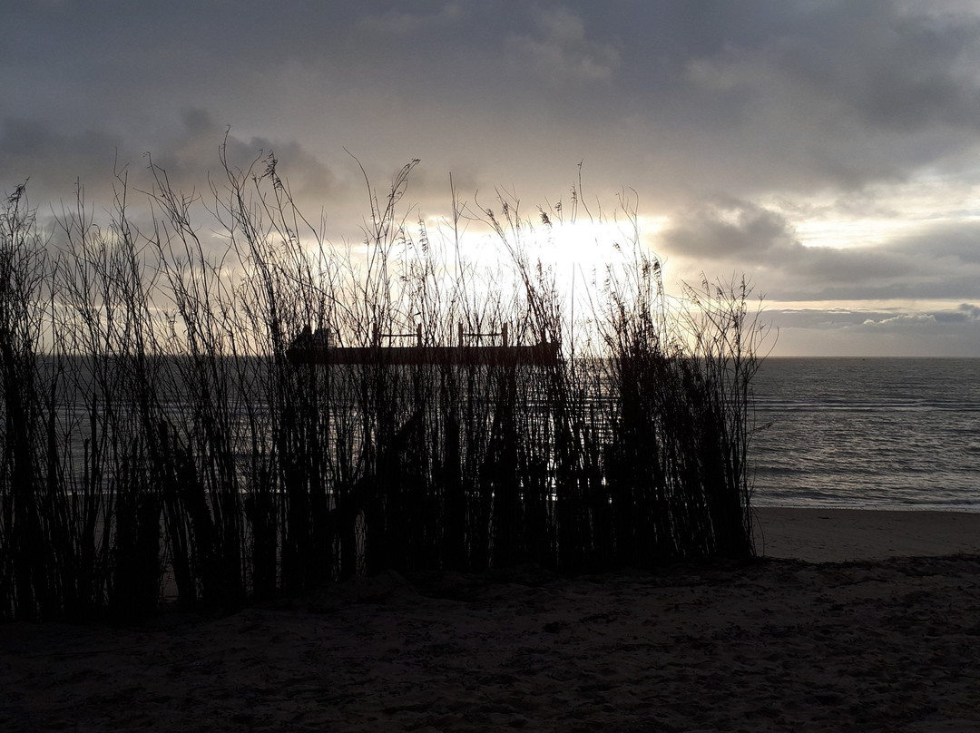 Beach Hotel主图