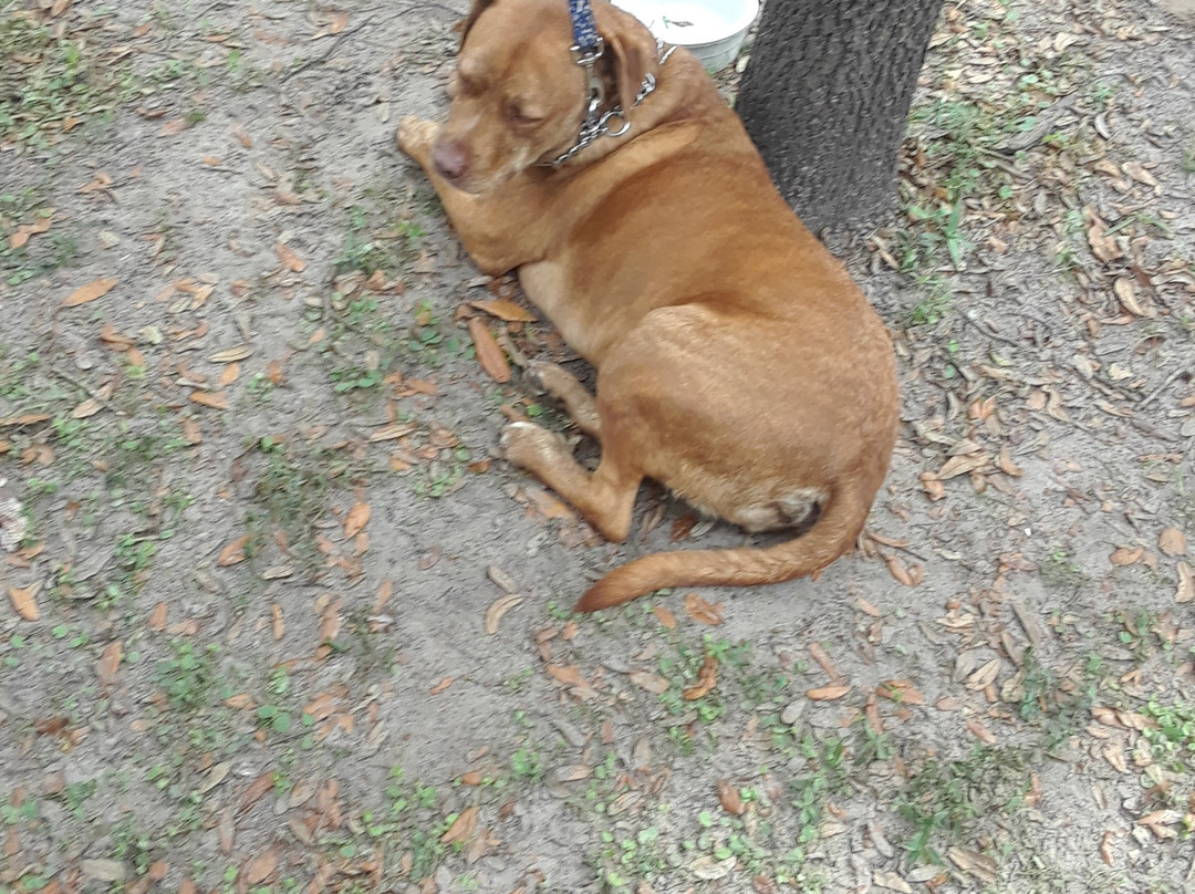 Brownville Park-阿卡迪亚必去景点