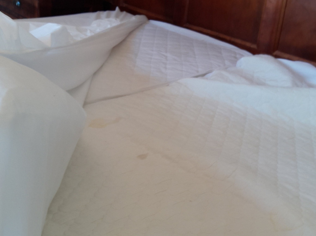 索奈科斯贵宾酒店主图