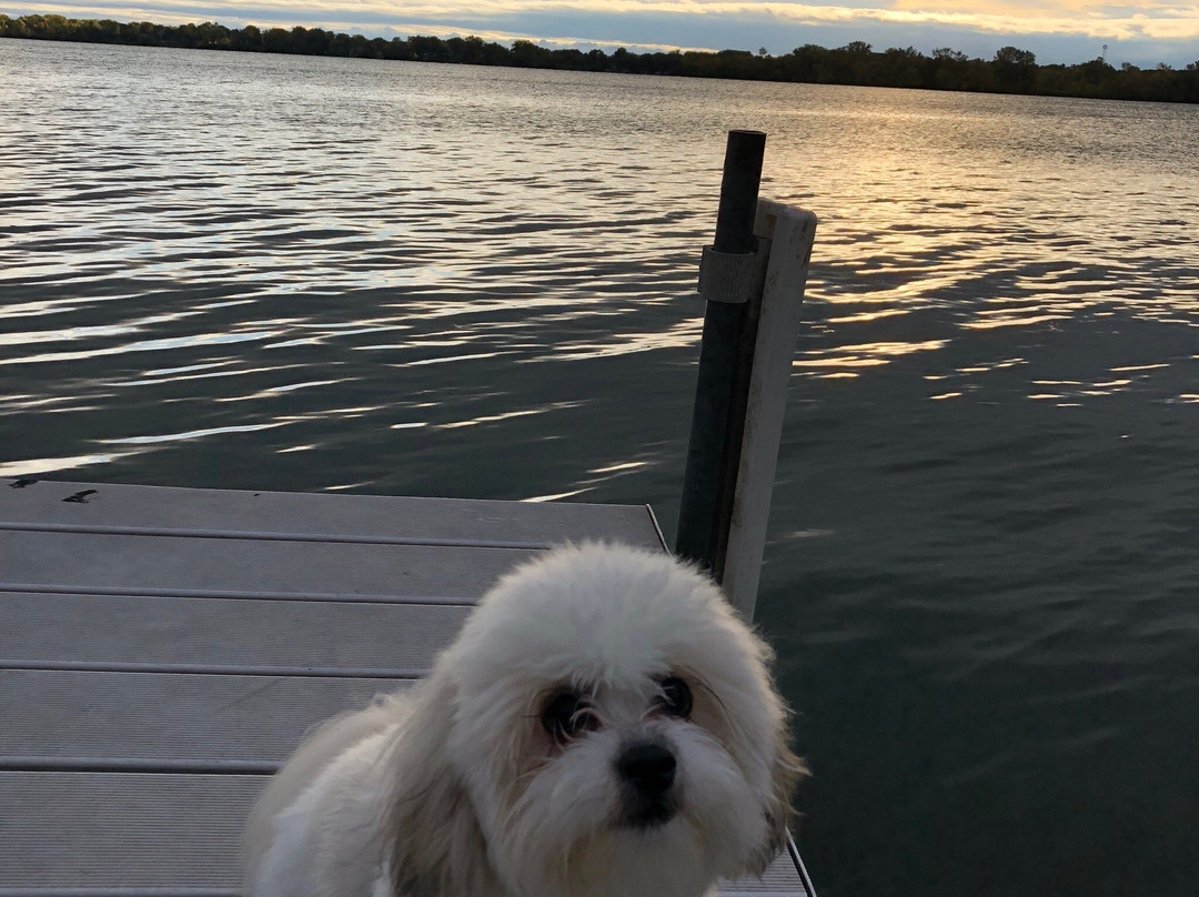 Rice Creek Chain of Lakes Park Reserve-Lino Lakes必去景点