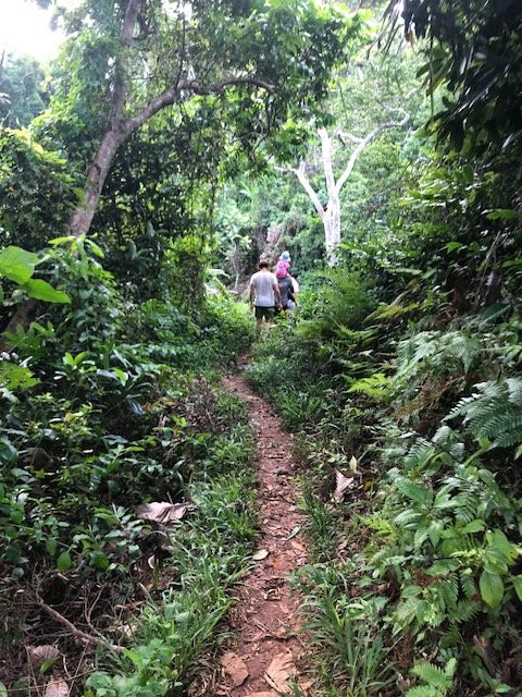 Takalana Bay Resort主图