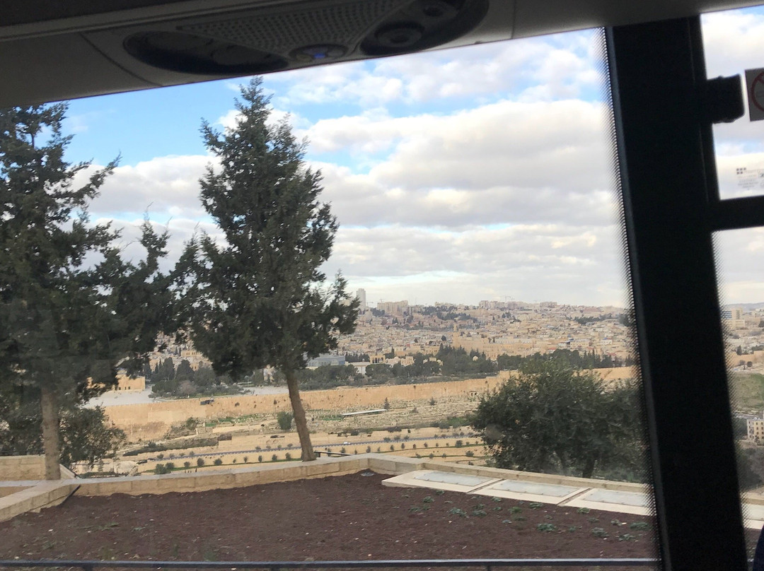 橄榄山酒店主图