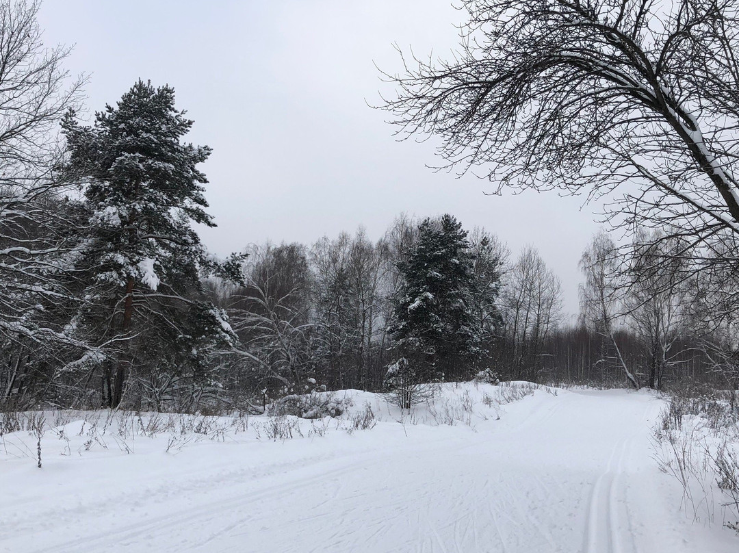 Sport Club Alfa-Bittsa-莫斯科必去景点