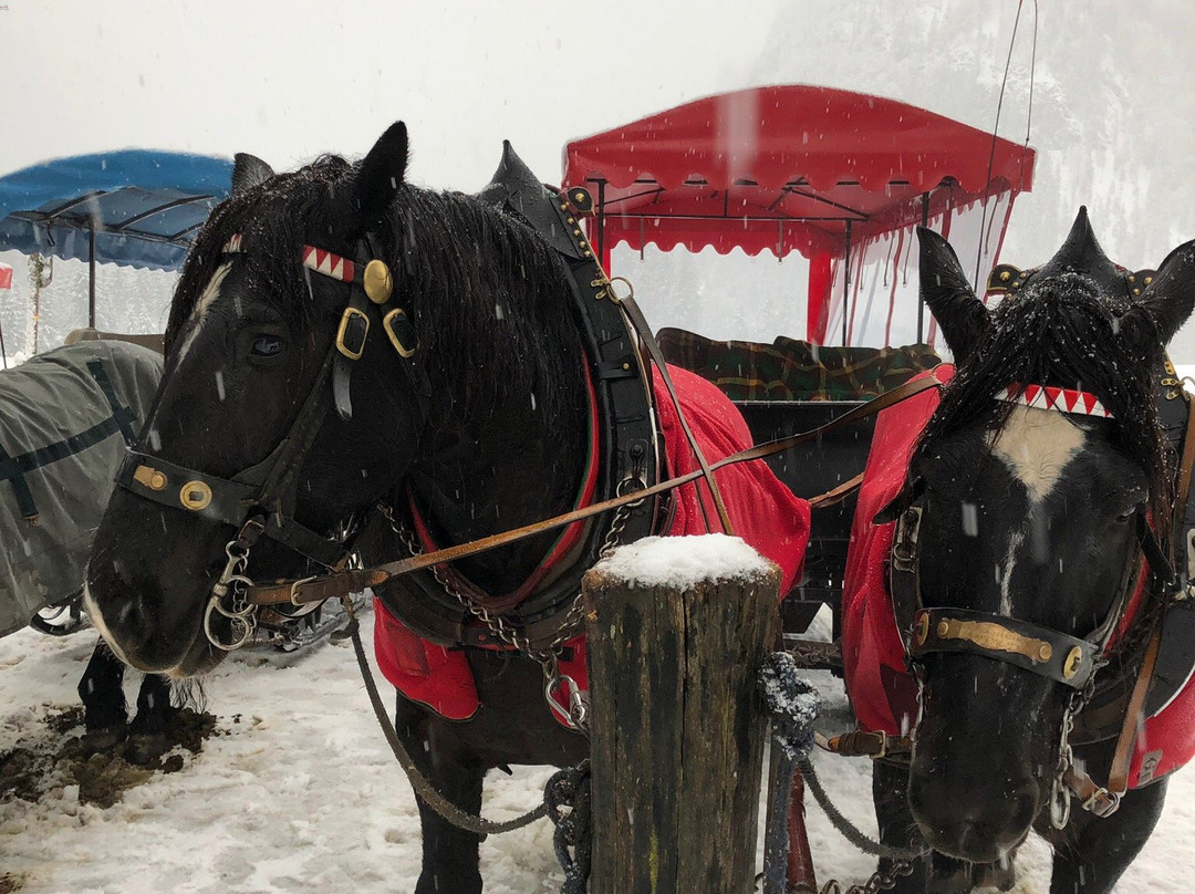 Hotel Gasthof Ledererwirt主图