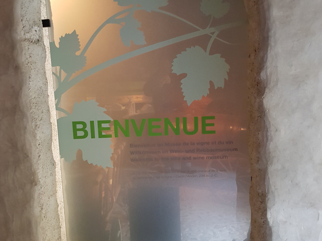 Vine, Wine and Wine Label Museum-埃格勒必去景点