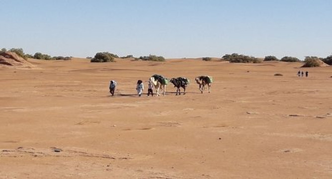 Desert Vacances-迈哈米德必去景点