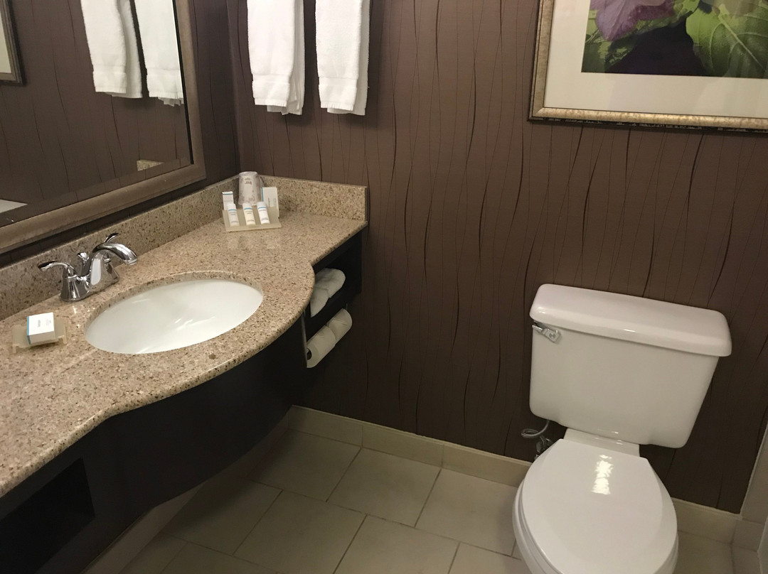 拉雷达勒姆机场希尔顿花园酒店主图