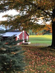 Windswept Acres Homestay主图