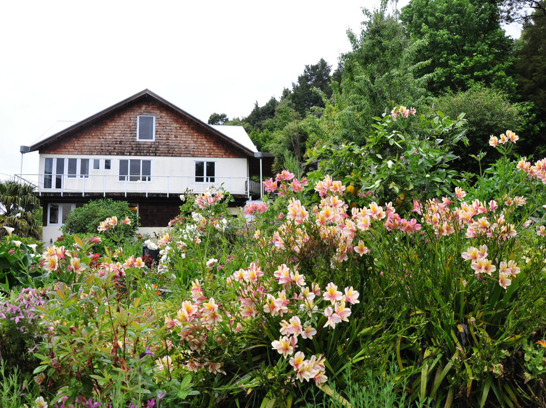 Abel Tasman Guesthouse主图