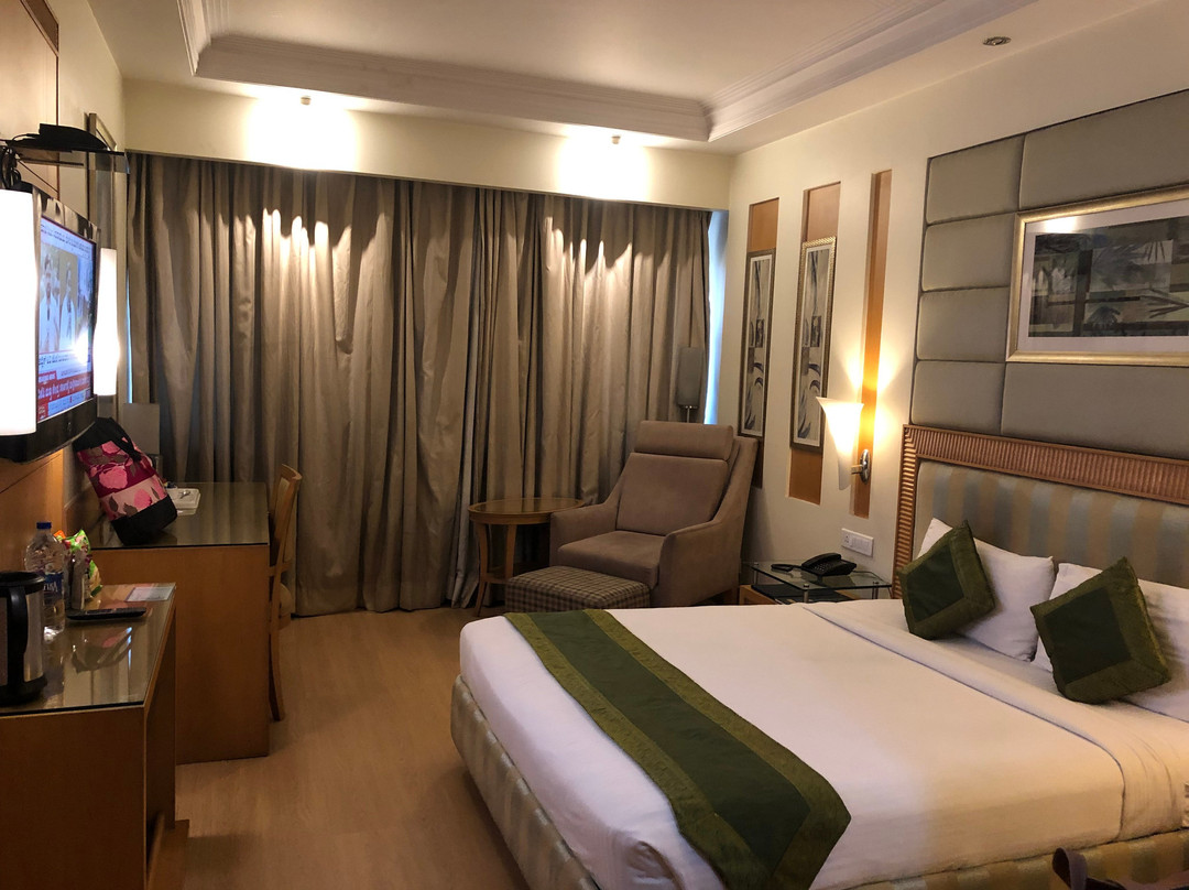 Hotel Western Court Chandigarh主图