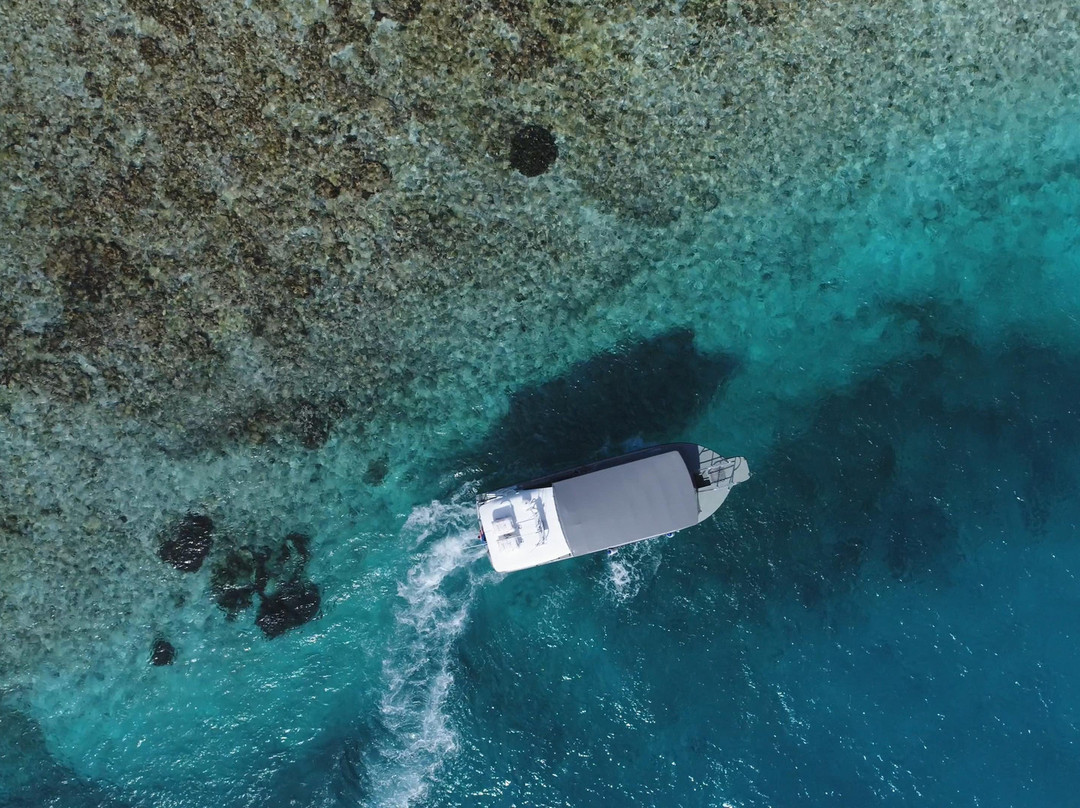Piatella Glass Bottom Boat Tours-杰拉尔顿必去景点