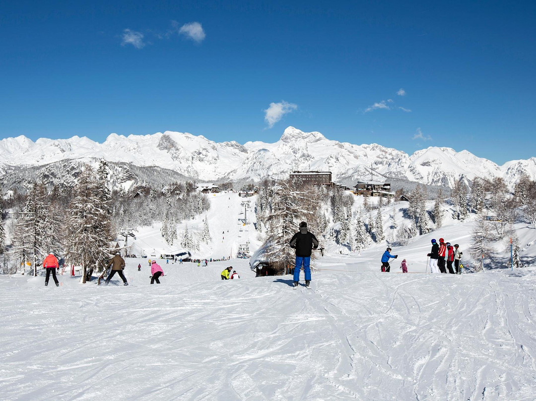Bled Ski Trips景点图片