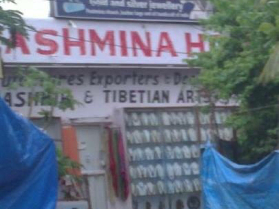 Zanskar Arts景点图片
