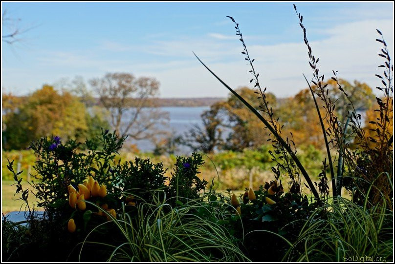 River Farm-亚历山德里亚必去景点