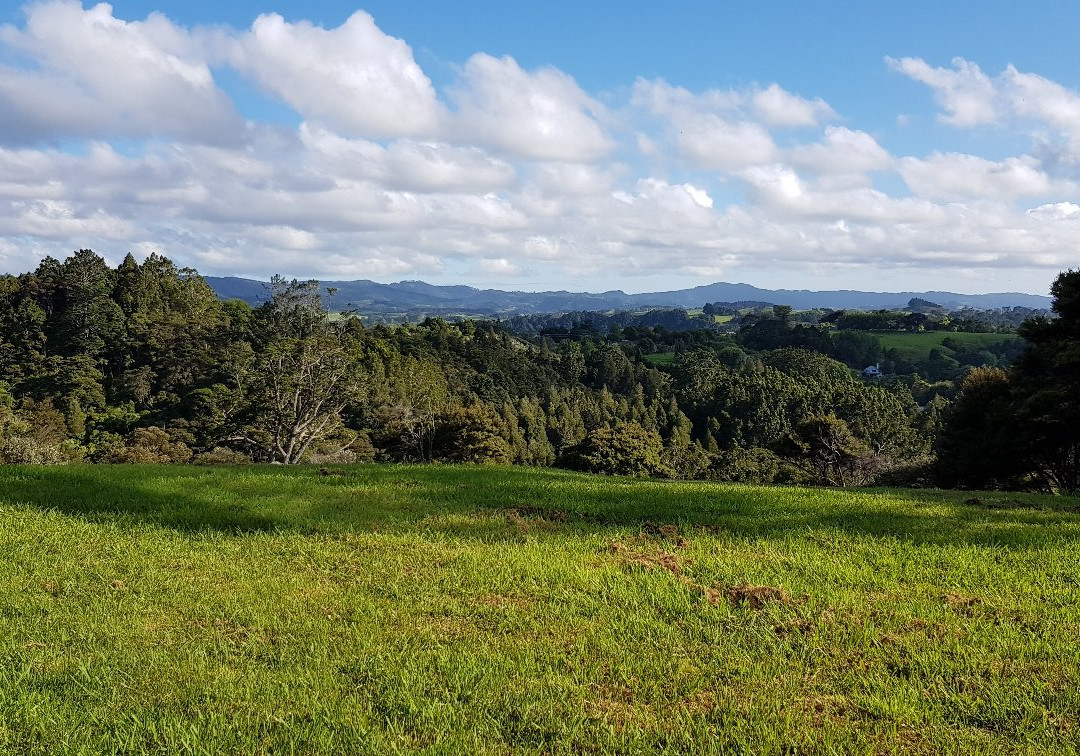Nancy's Garden主图