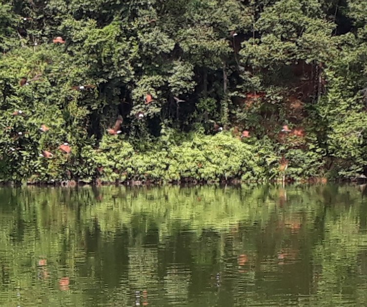 Trad Cycling Tours-桐艾必去景点