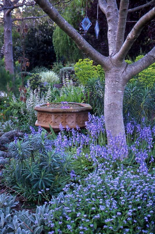 Out of Town Nursery and Humming Garden-比奇沃思必去景点
