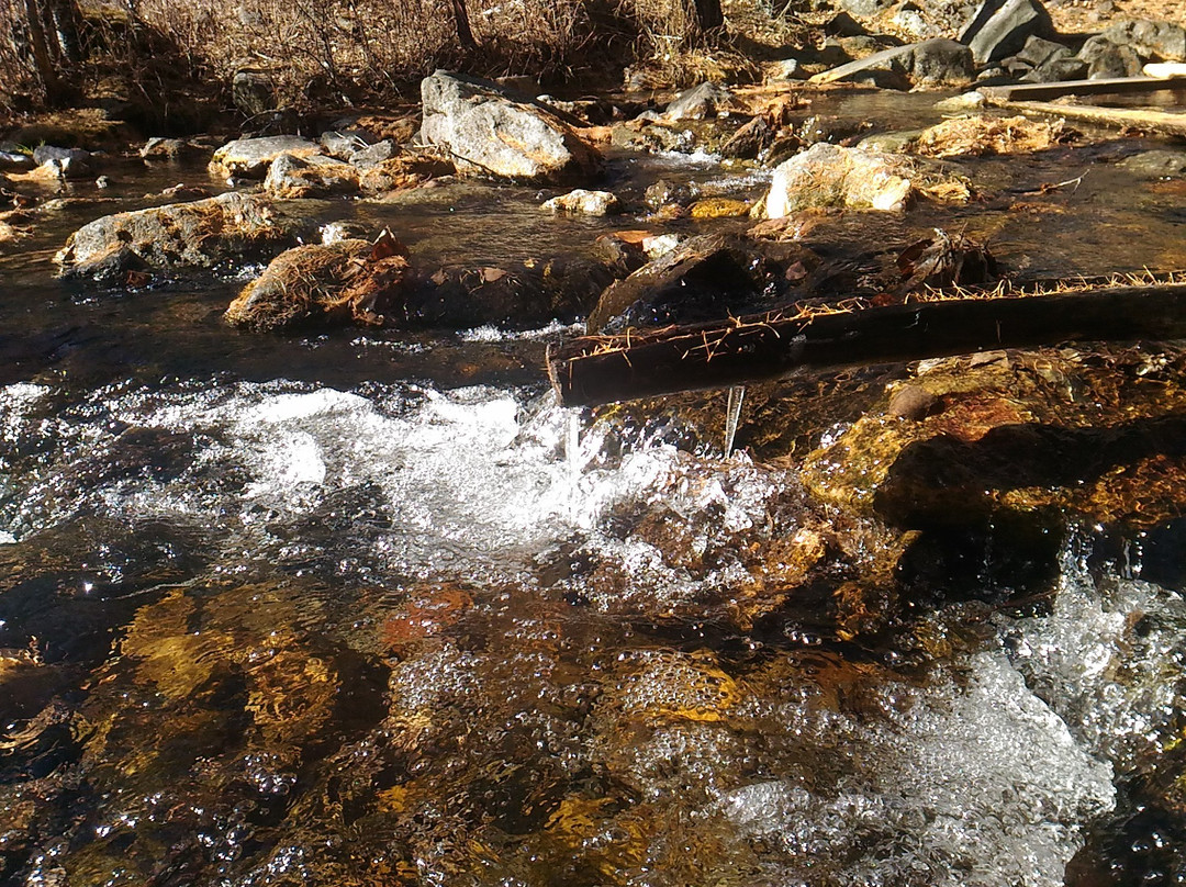National Park Alkhanai-赤塔必去景点