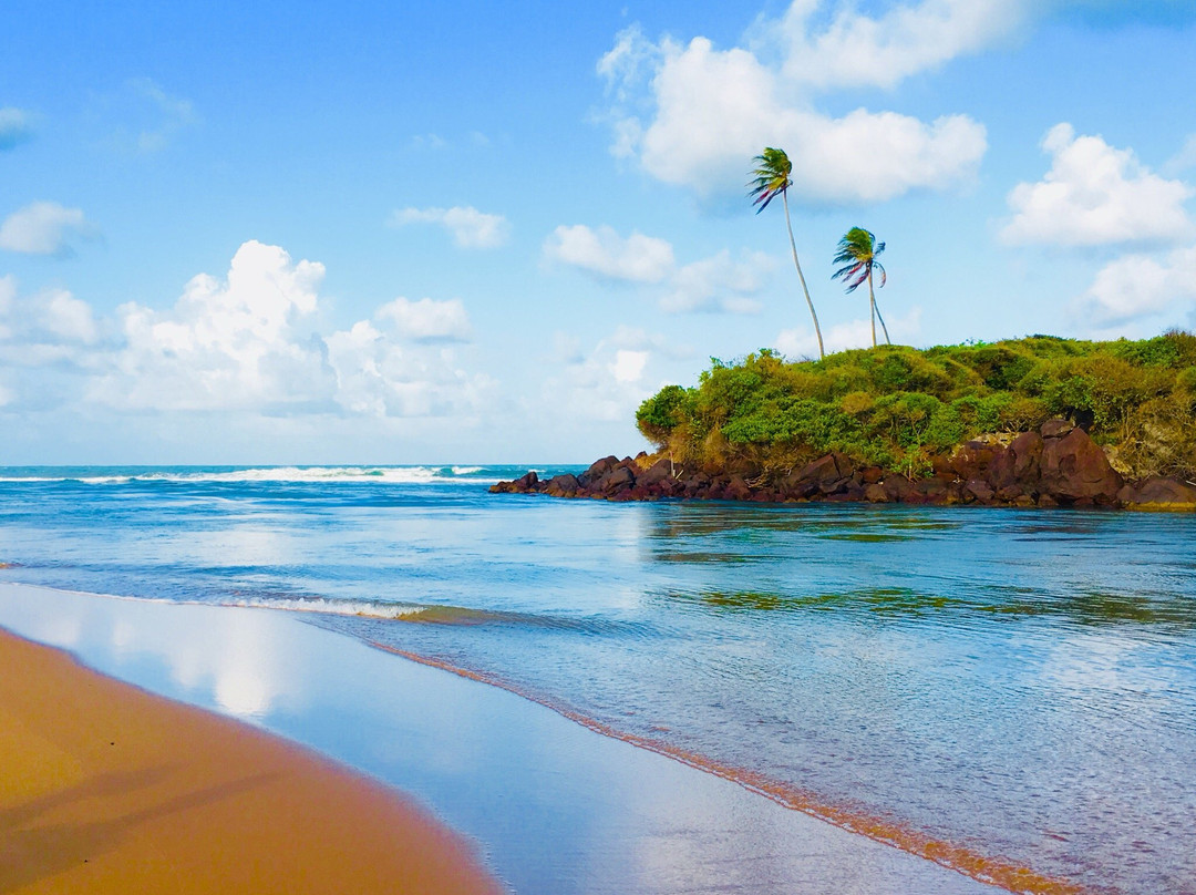Ferias Joao Pessoa-Joao Pessoa必去景点