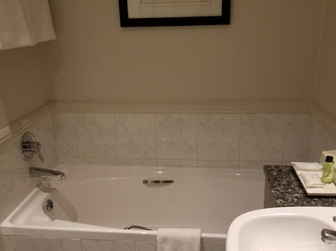 花苑晨桑顿酒店主图