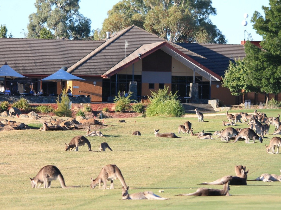 Gold Creek Country Club景点图片