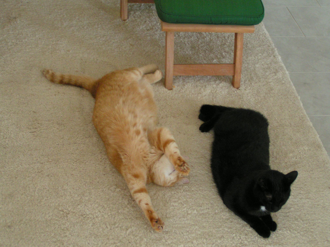 Nowak's Own B&B主图