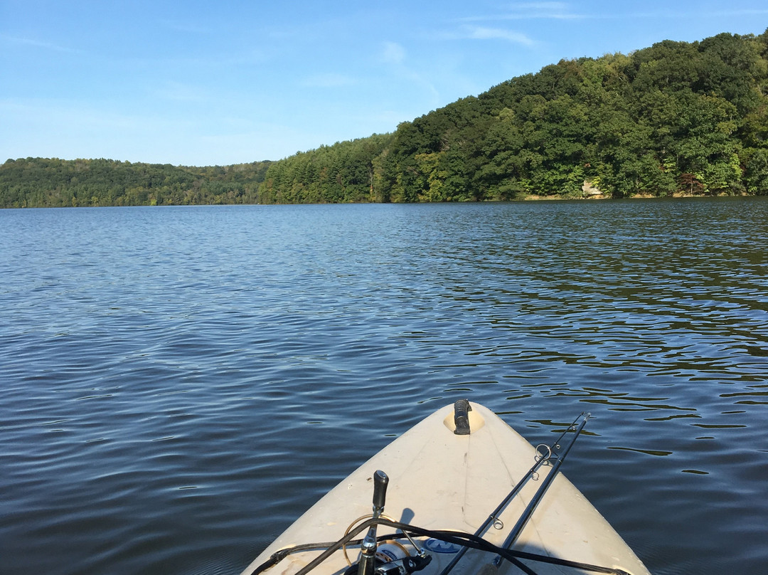 Piedmont Lake Marina景点图片