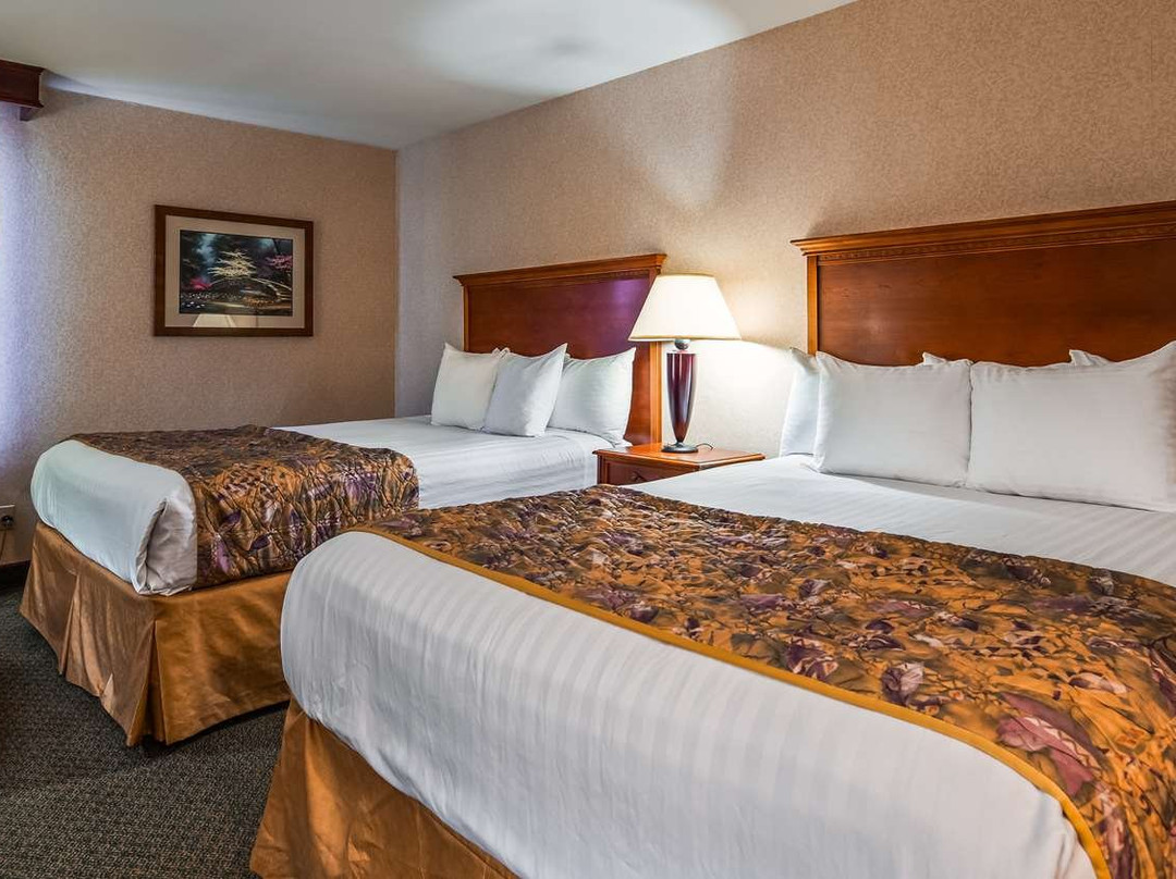 贝斯特韦斯特马纳萨斯酒店主图