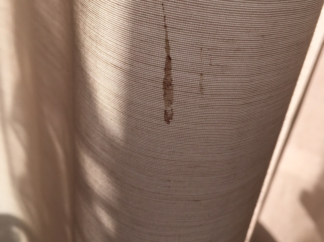 Romantikhotel Altenberger Hof主图