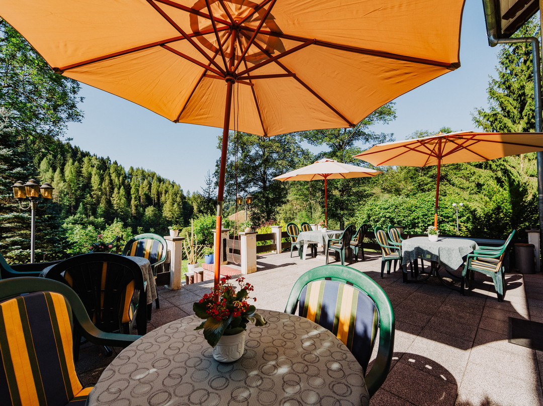 Pension Haus Vogelsang主图