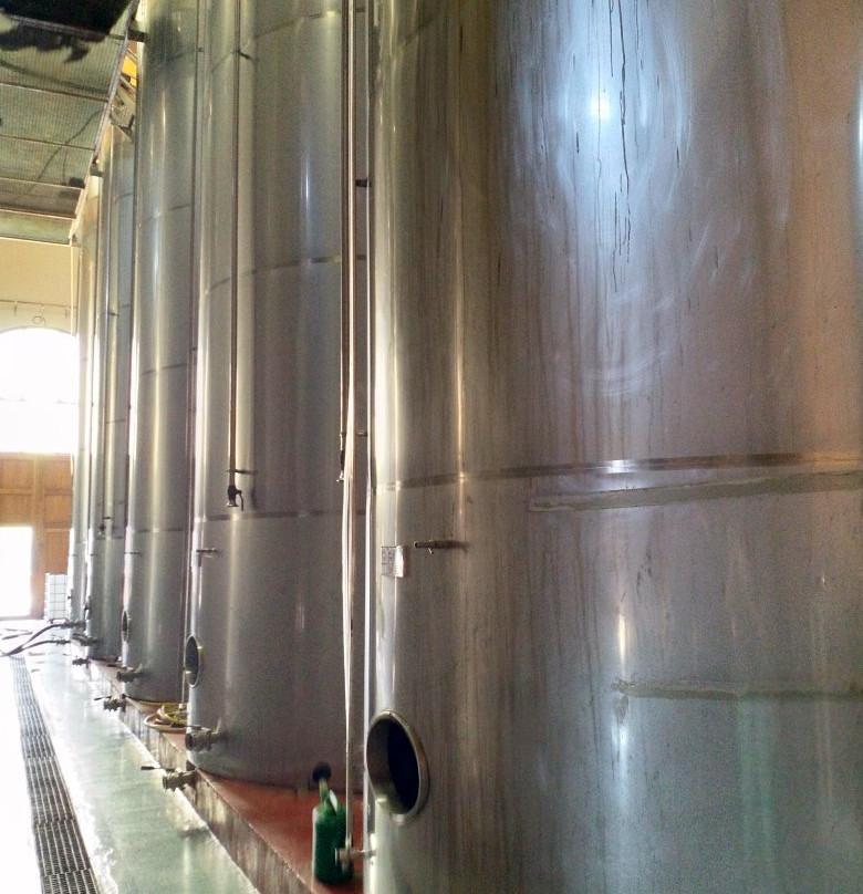 Bodegas Enguera景点图片