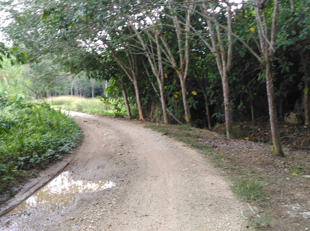 Zǐ Xia Dong-话望生必去景点