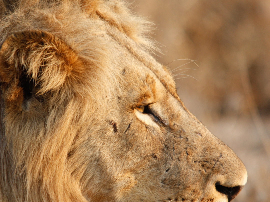 Open Skies Wilderness Expeditions-尼斯普鲁特必去景点