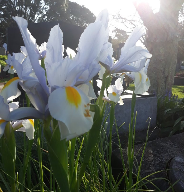 Te Henui Walkway-新普利默斯必去景点