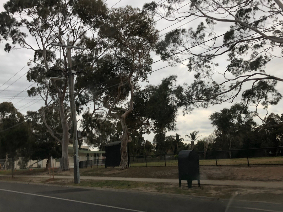 Castlefield Reserve Playground景点图片