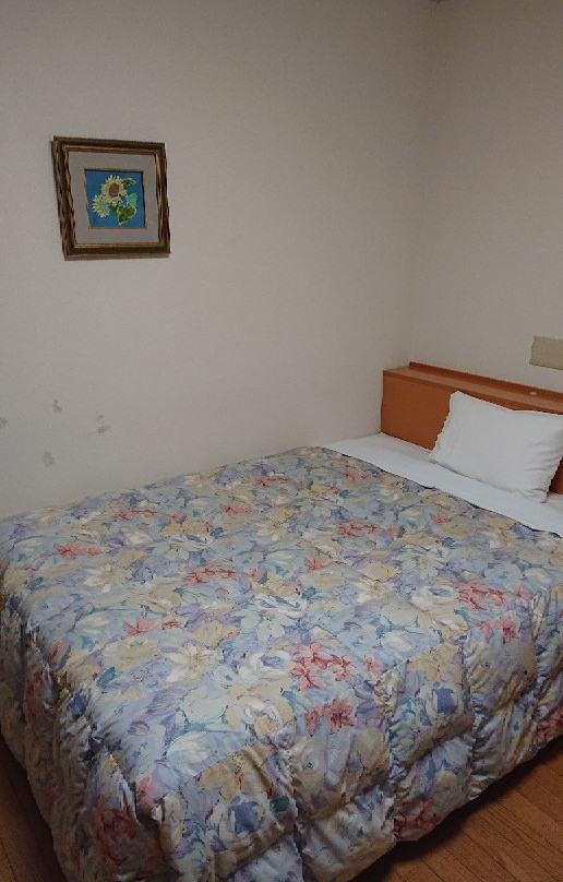 Hotel Tajimi Hills My Room主图