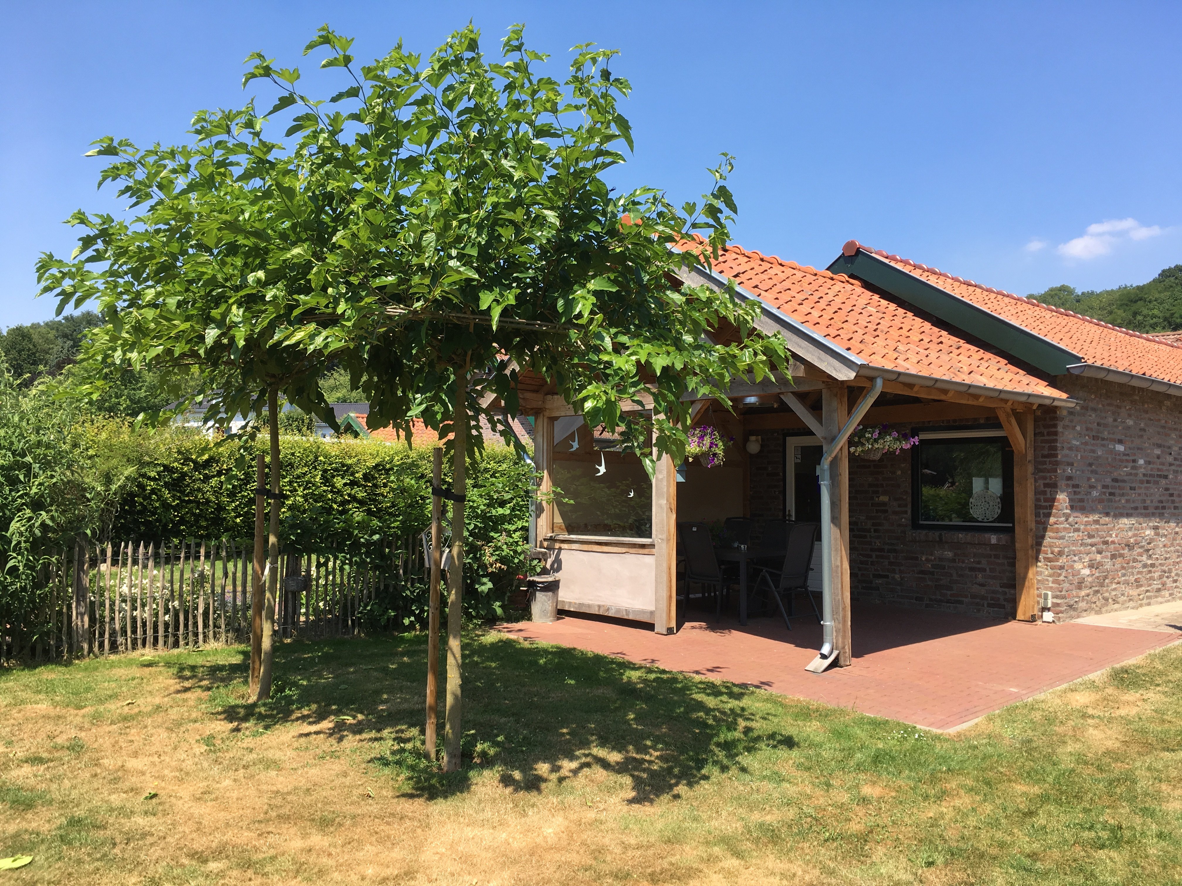 Meens Bed & Breakfast-官方