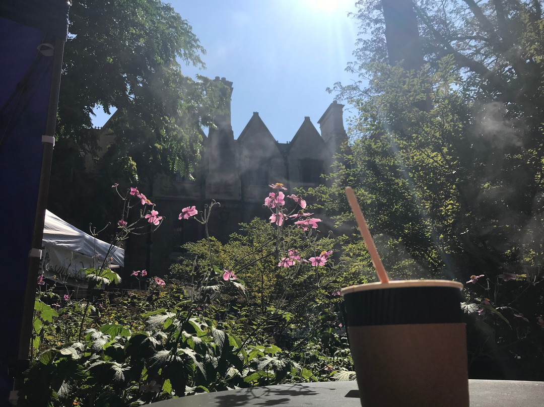 All Saints Garden Art and Craft Market-剑桥必去景点