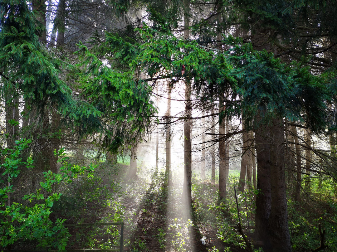 Hotel Krpáčovo主图