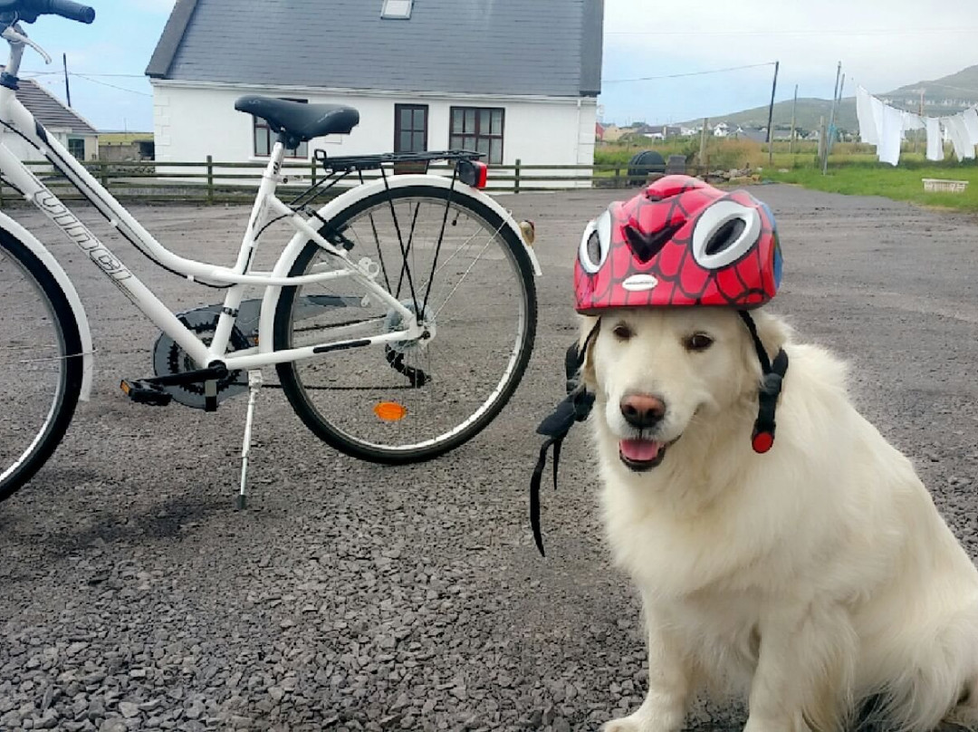 Achill Bikes景点图片