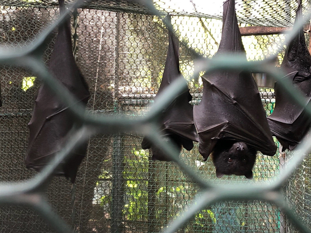 Cushing Zoo-杜梦湾必去景点