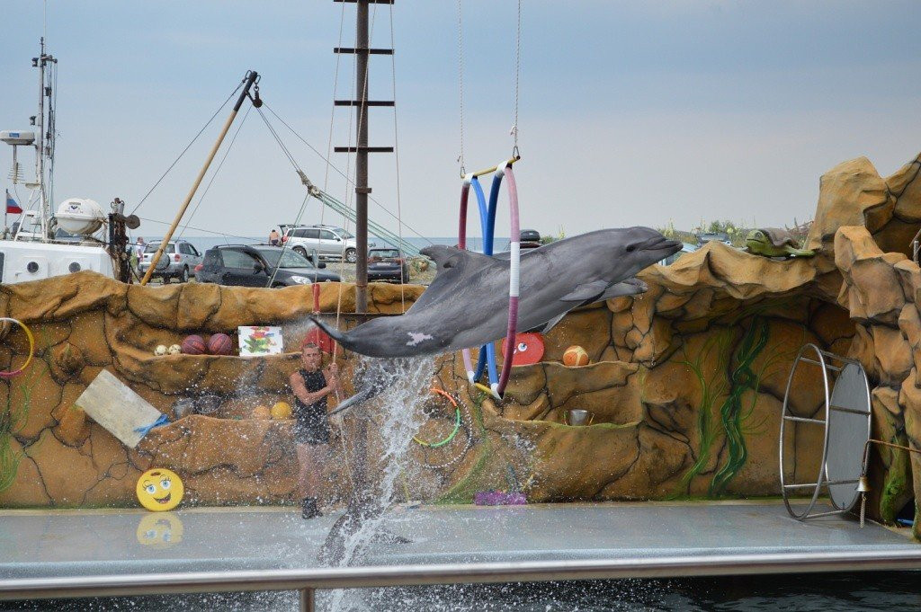 Anapa Dolphinarium in Bolshoye Utrishe-Sukko必去景点