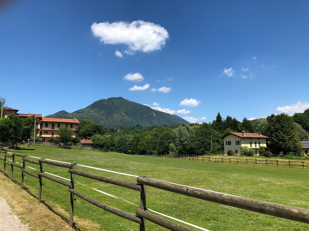 Torbiera di Mombello景点图片