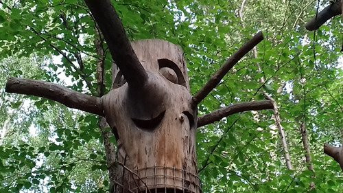 Botanical Garden of ISU-伊尔库茨克必去景点