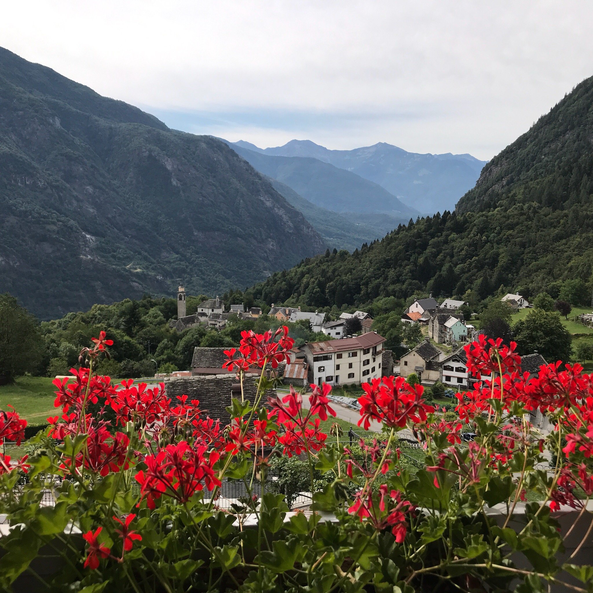 Hotel Belvedere Wellness & Spa-官方