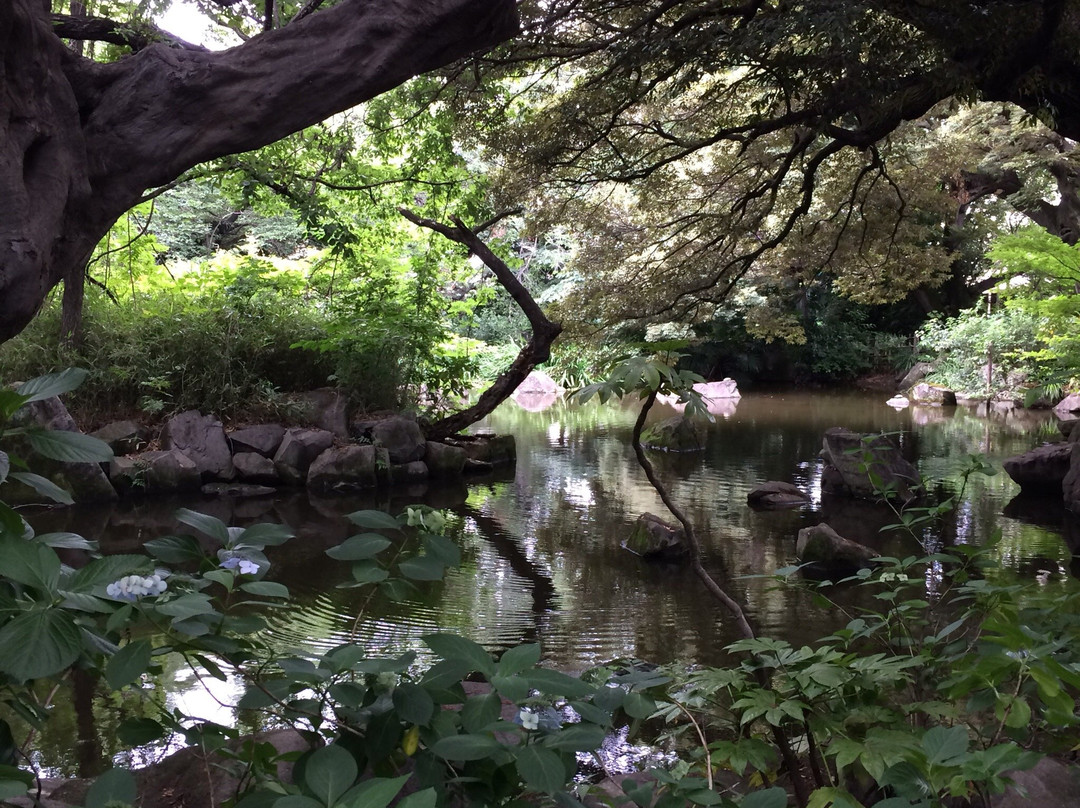 Nanushinotaki Park-北区必去景点