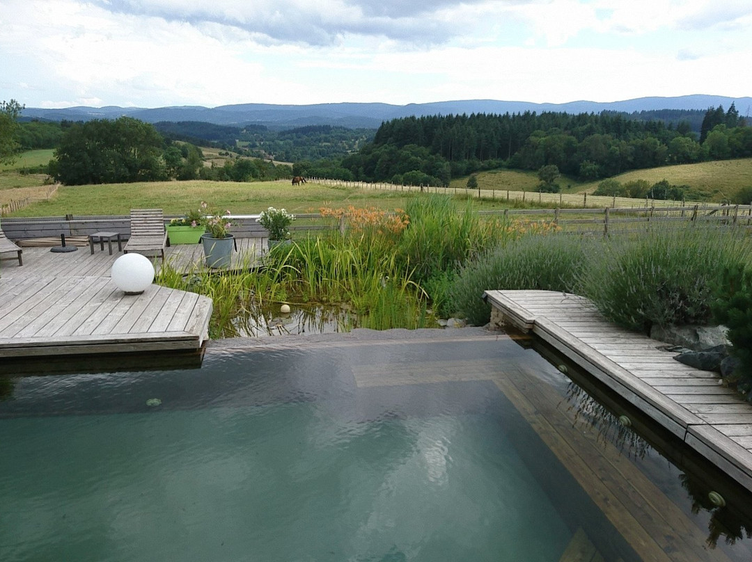 La Champolynoise主图