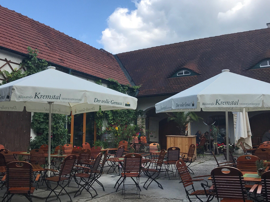 Tiefenfucha餐馆和美食-Weinhof Fink